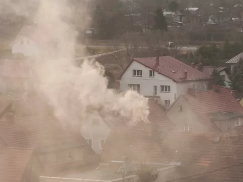 Poziom dymienia różnych gatunków drewna