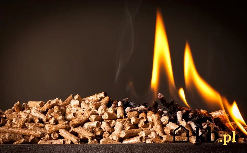 Kotły na biomasę zdobywają coraz większą popularność w Polsce, mimo rosnących cen pelletu palący się pellet