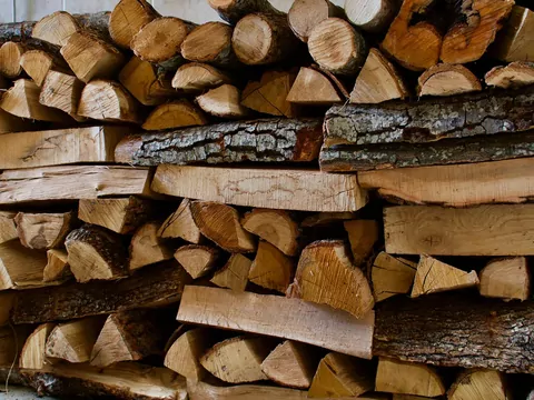 Drewno dębowe schnie nawet 5 lat
