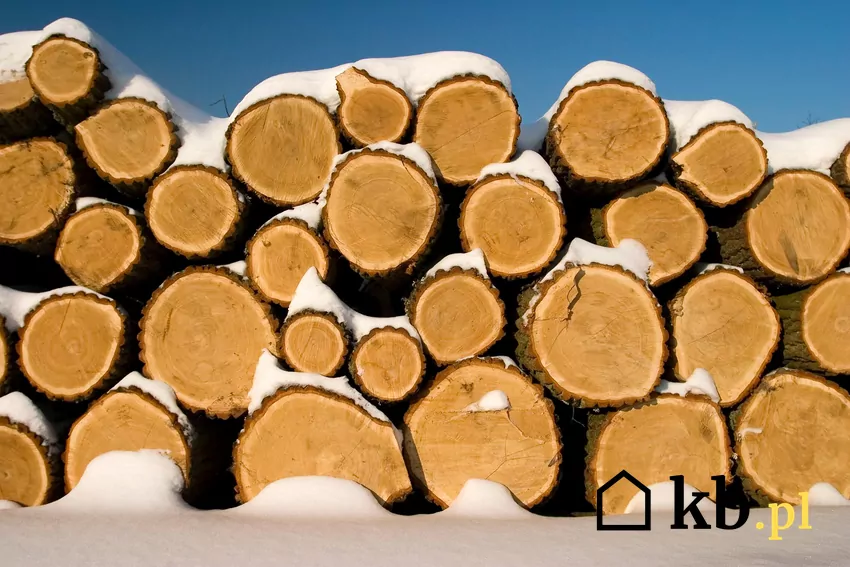 Opał dębowy wymaga wielu zabiegów przygotowawczych i czasu