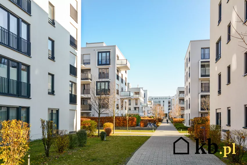 Wspólne mieszkanie z przyjacielem to coraz częstszy wybór Polaków szukających elastyczności i niezależności Nowe apartamentowce