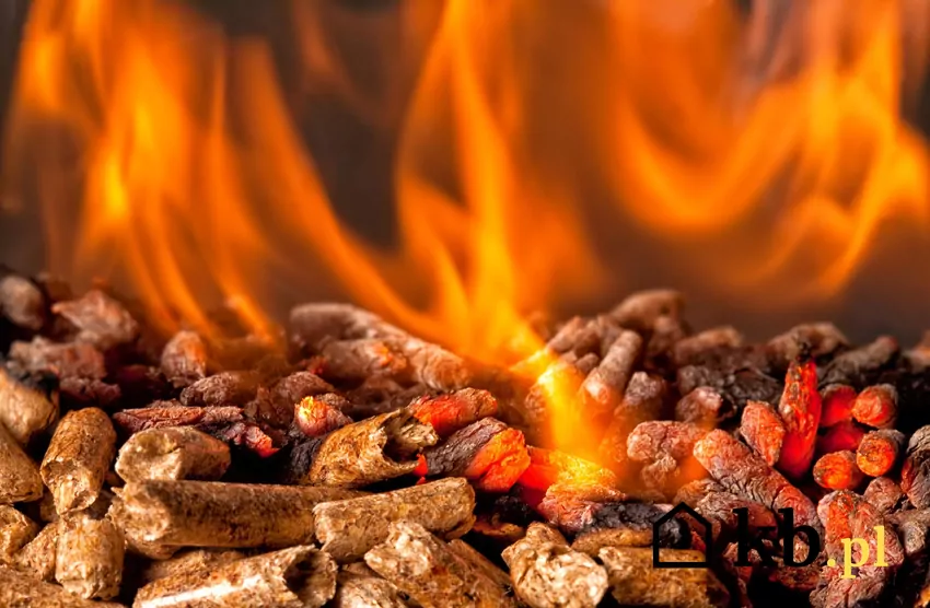 pellet