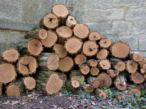 Sezonowanie drewna w nieprzewiwnej szopie