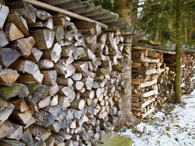 Sezonowanie drewna w nieprzewiwnej szopie