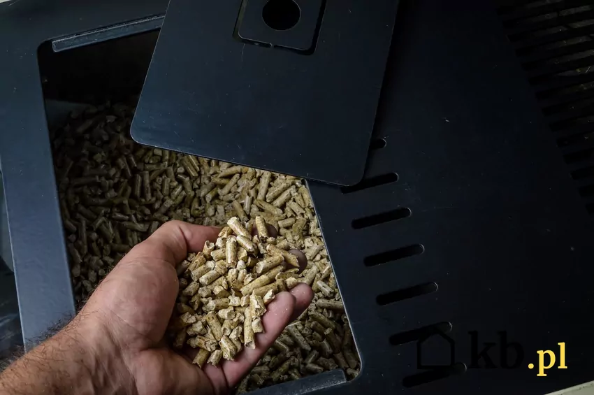 pellet w podajniku