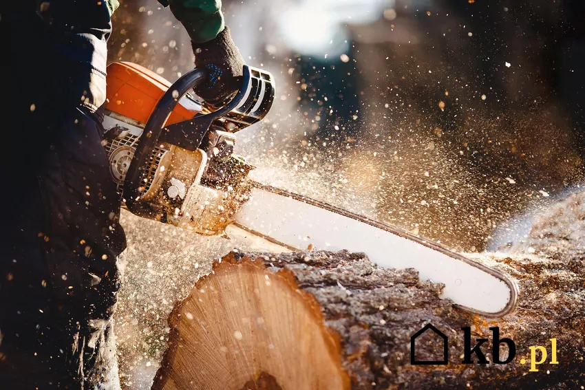 Pilarka łańcuchowa – podstawowe narzędzie do cięcia drewna na krótsze kawałki Cięcie drewna pilarką łańcuchową