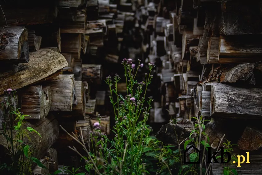 Stary stos drewna opałowego
