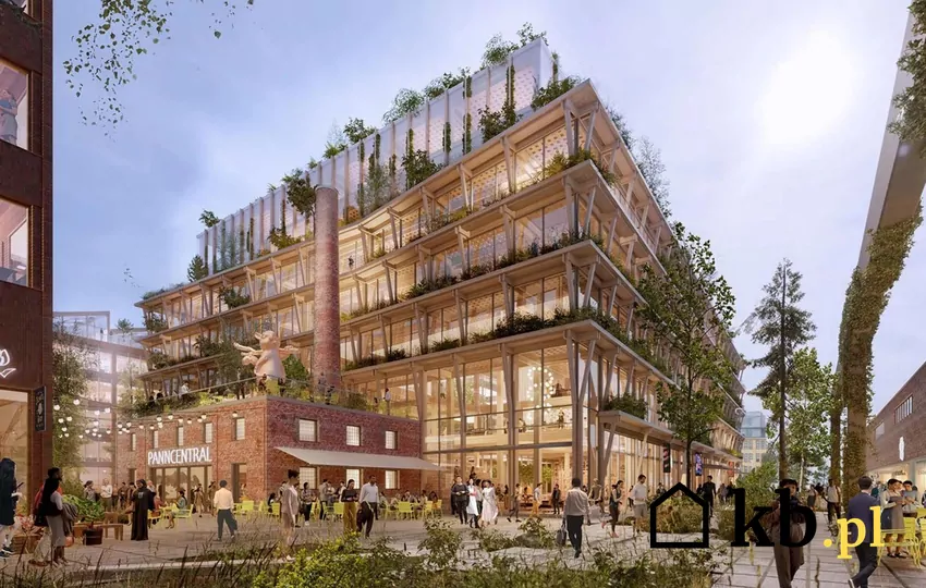 Wood City Stockholm ma zapewnić aż 2 tys. nowych mieszkań, ale to nie wszystko, ponieważ w nowoczesnym kompleksie zaprojektowane zostały także budynki użyteczności publicznej Wizualizacja budynków z drewna