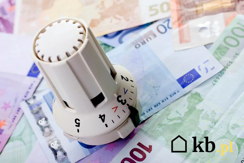 Największe oszczędności kosztów ogrzewania może przynieść termomodernizacja domu Wysokiej jakości pellet to gwarancja bezproblemowej pracy kotła