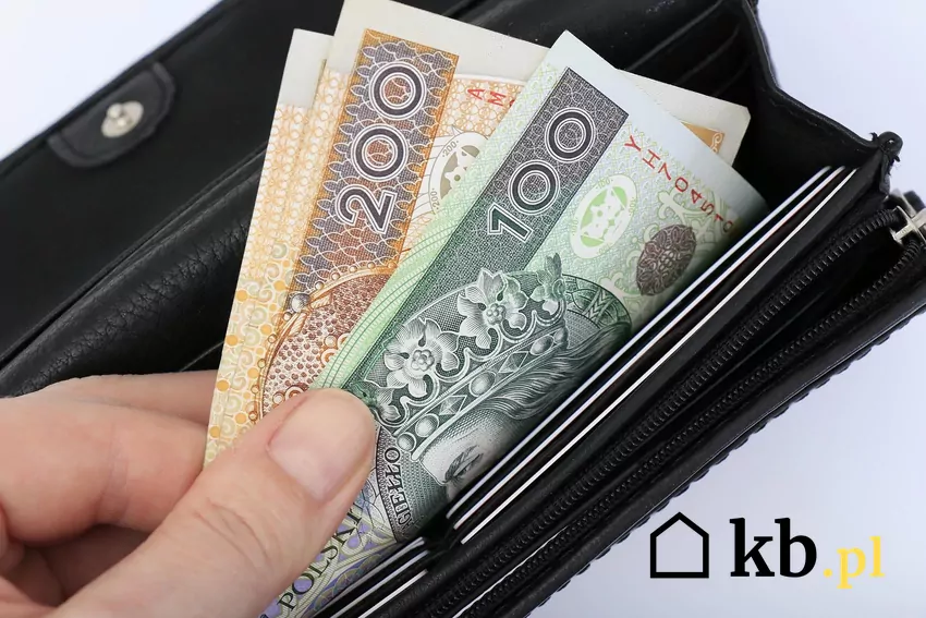 Minimalna pensja w ten branży już niedługo przekroczy 8000 zł Portfel z pieniędzmi