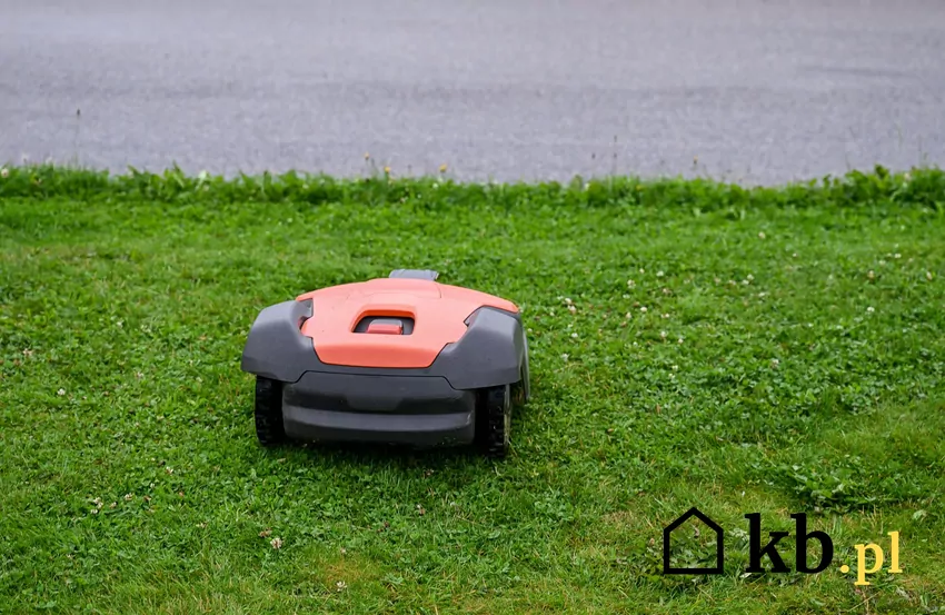 Roboty koszące mają trudności z dokładnym koszeniem krawędzi trawnika Robot koszący na trawie, w tle asfalt