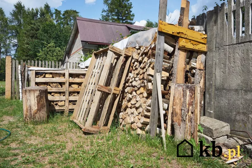Polacy mogą odetchnąć z ulgą – nikt nie będzie sprawdzał, jakim drewnem palimy drewno na opał, podwórko