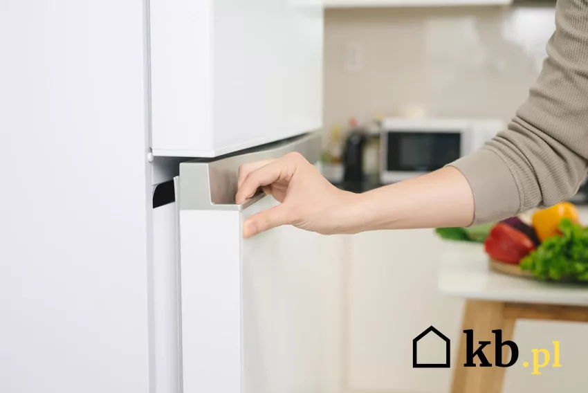 Technologia inwerterowa pozwala nie tylko na cichą pracę, ale też na znaczne oszczędności energii – idealne dla osób szukających eko-rozwiązań do domu lodówka