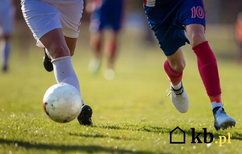 Zmiana ta ma wynikać z problemów, związanych z blokowaniem inwestycji sportowych przez mieszkańców pobliskich terenów Boisko sportowe