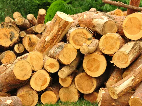 Ogrzewanie pomieszczenia kozą