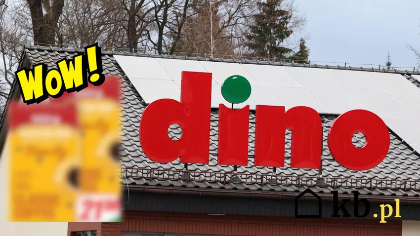 Ulubiona kawa Polaków teraz ponad 26% taniej w Dino! Dino - baner