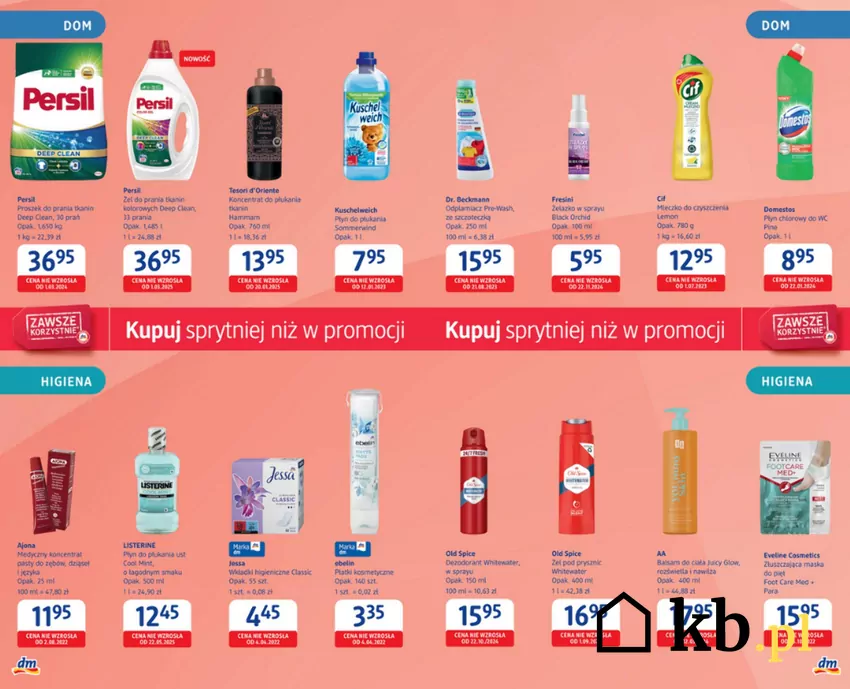 Chemia gospodarcza do domu w obniżonych cenach w drogeriach DM DM - gazetka