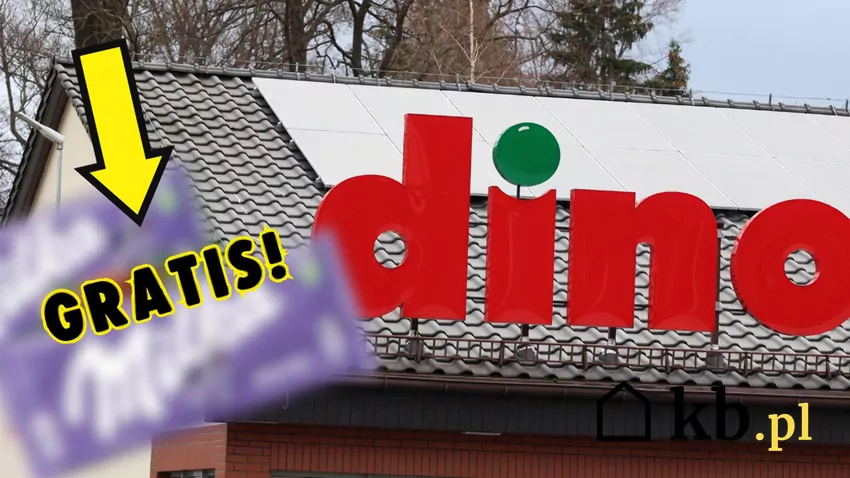 W Dino tylko do 10 czerwca czekolada Milka "gratis"! Dino - baner i czekolada