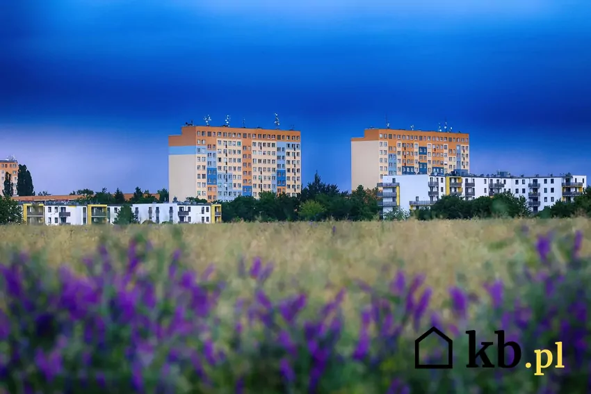 W PRL-u normą było, że aż 50–60% powierzchni osiedla zajmowała zieleń. Dziś często jest to mniej niż 20% osiedle