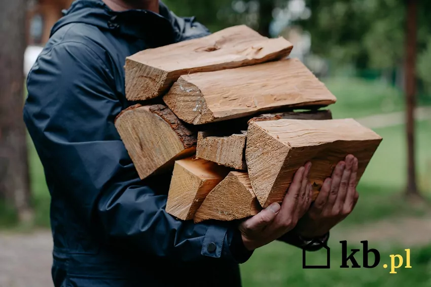 Mężczyzna niesie wysuszone drewno opałowe