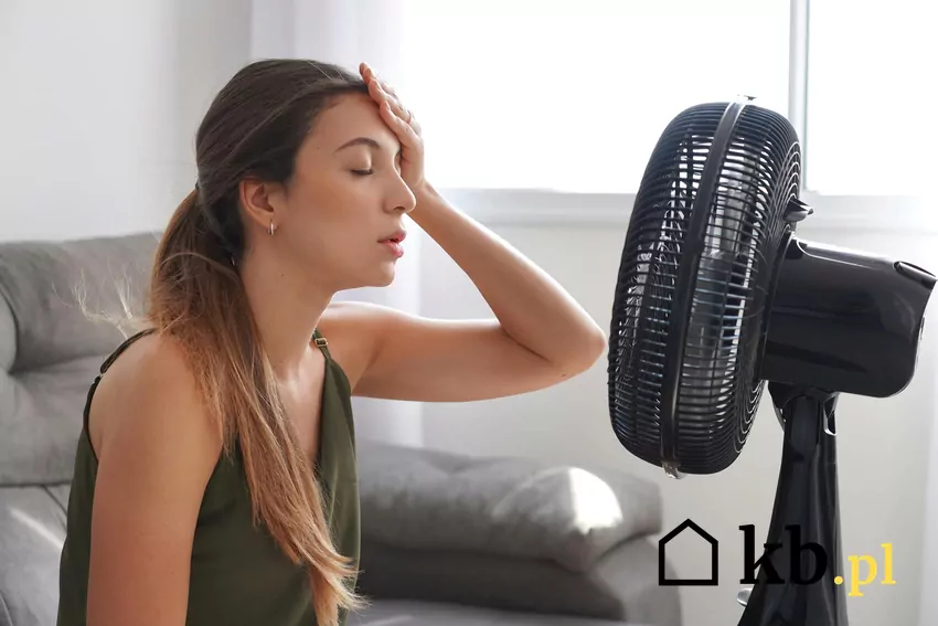 Wraz z początkiem kolejnego tygodnia temperatury gwałtownie wzrosną Fala upałów