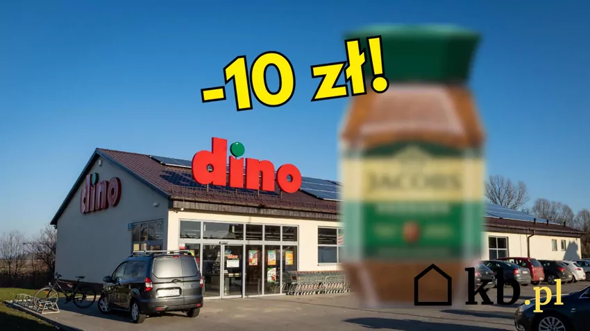 Dino - baner i kawa