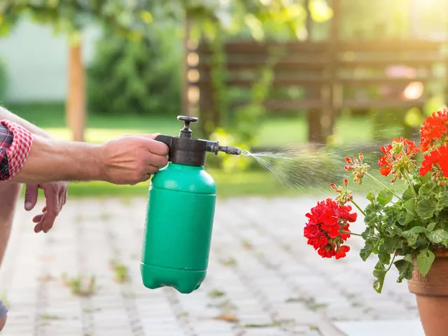 Domowy sposób na mszyce z cebulą