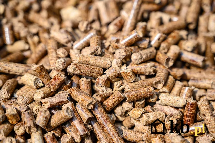 Polska jest jednym z największych producentów pelletu w Europie – branża drzewna w pełnym rozkwicie pellet