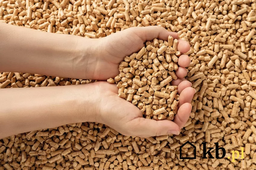 Polscy przedsiębiorcy bogacą się na produkcji pelletu drzewnego pellet drzewny