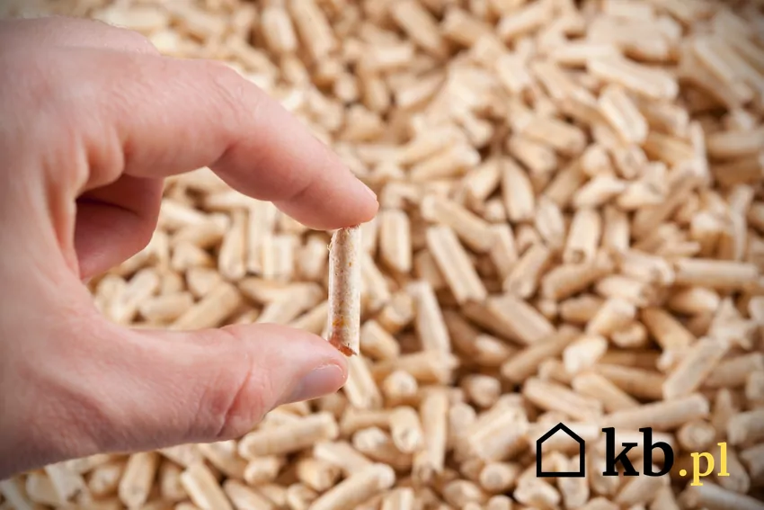 W Polsce działa najwięcej producentów certyfikowanego pelletu w Europie pellet wysokiej jakości