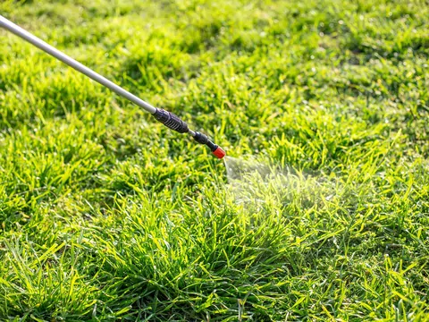 Domowe opryski chwastów sodą