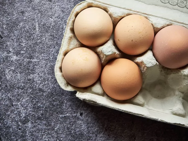 Salmonella na jajkach