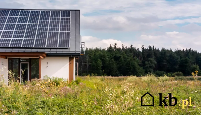 W Niemczech, gdzie udział fotowoltaiki jest ogromny, w słoneczne weekendy energia bywa praktycznie bezwartościowa fotowoltaika
