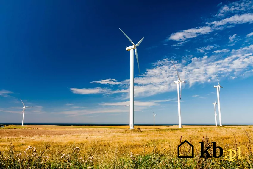 Farma wiatrowa na polu