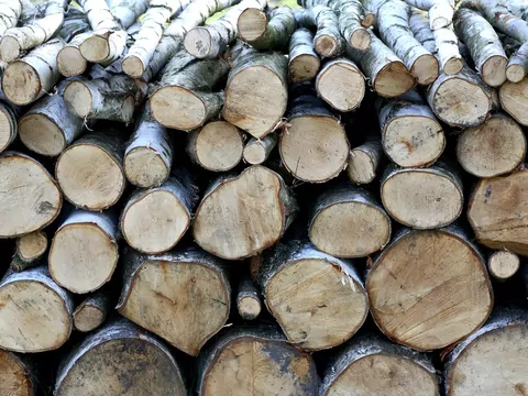 Drewno dobre dla komina