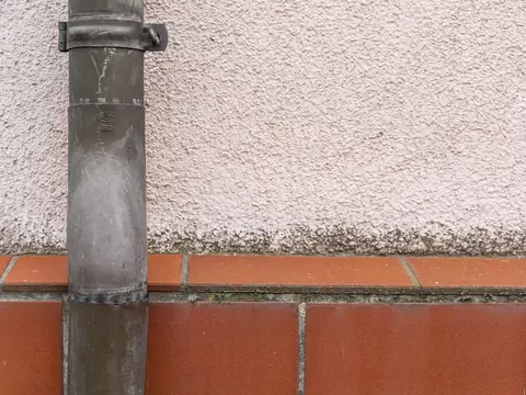 Skąd się biorą zielone plamy na elewacji?