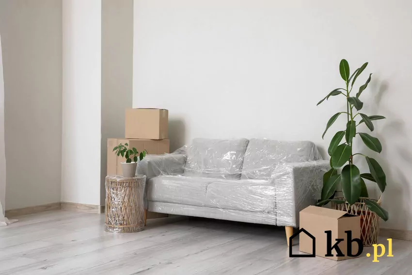 Neutralne kolory, takie jak biel, szarości czy beże, są preferowanymi opcjami kolorystycznymi w mieszkaniach na wynajem Minimalistyczna kanapa i meble na tle jasnej ściany