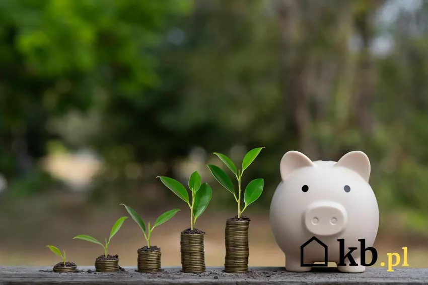 W procesie kontrolowania beneficjentów i rozliczeń WFOŚiGW współpracuje z ZUS i KAS, szczególnie w celu weryfikacji dochodów Monety i skarbonka na tle natury