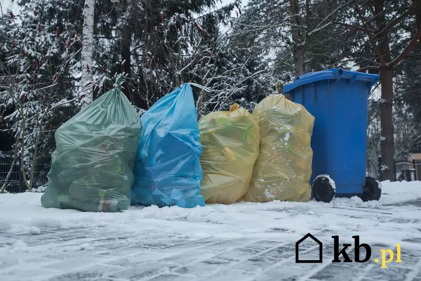 Kosz na odpady i kolorowe worki z posegregowanymi odpadami w ziemie