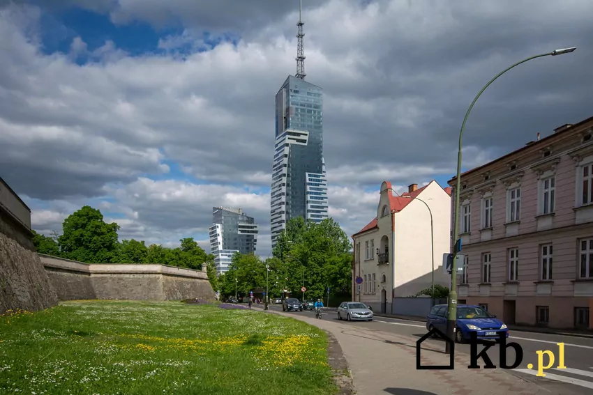 Inwestycja zlokalizowana jest w okolicy parku Olszynka Widok na Olszynki Park w Rzeszowie