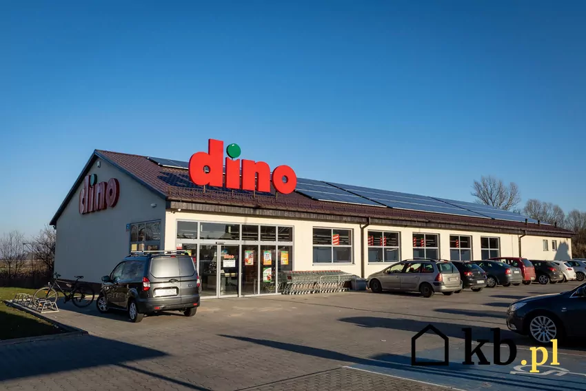 W dniach 20-26 sierpnia promocje na różne artykuły spożywcze w Dino Dino - sklep - wejście