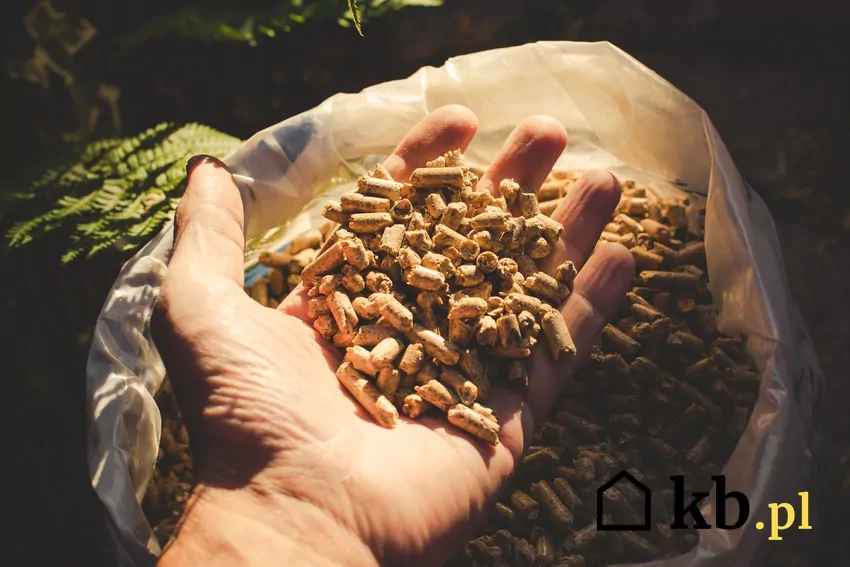 Nie każdy pellet daje tyle samo ciepła pellet drzewny, dłoń