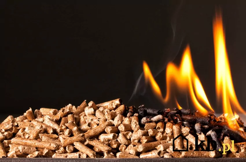 Wielu polskich producentów sprzedaje certyfikowany pellet pellet drzewny, ogień