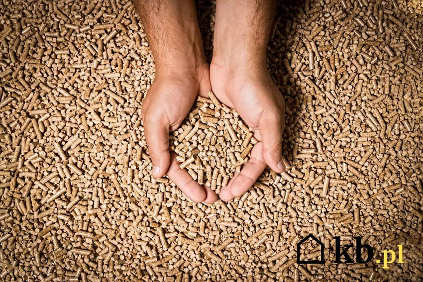 Pellet z certyfikatem charakteryzuje się wysoką jakością pellet drzewny, dłonie