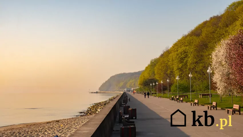 Gdynia - blisko morza i blisko lasów - to jedno z "najszczęśliwszych miast w Polsce" Gdynia