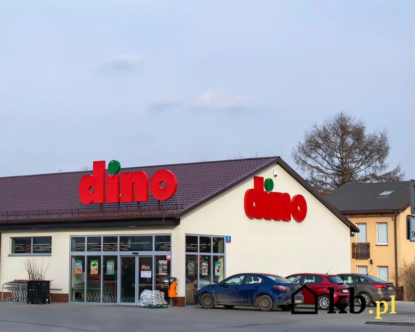 Od 3 do 9 września dużo atrakcyjnych rabatów w sieci sklepów Dino Widok marketu Dino