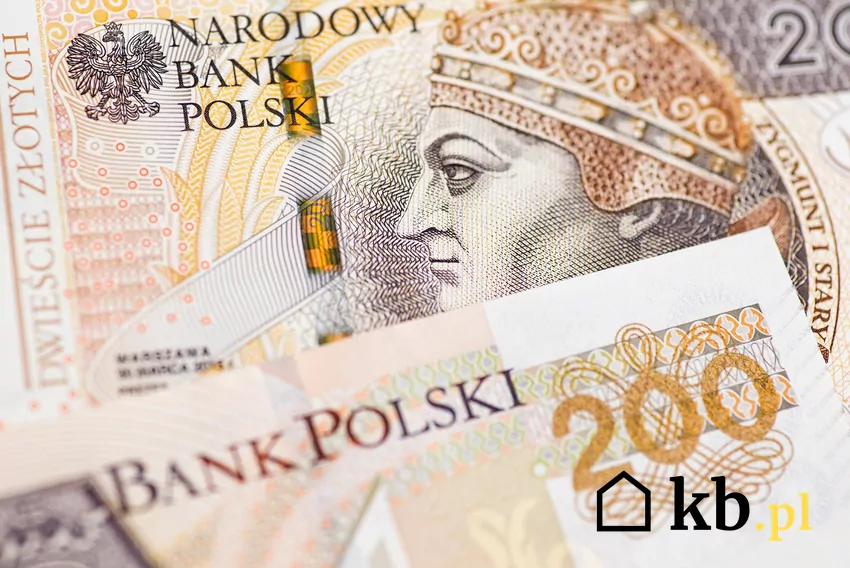 Korzyści zależne będą od wysokości dochodów, a największymi beneficjentami zostaną osoby o ponadprzeciętnych dochodach Polskie banknoty