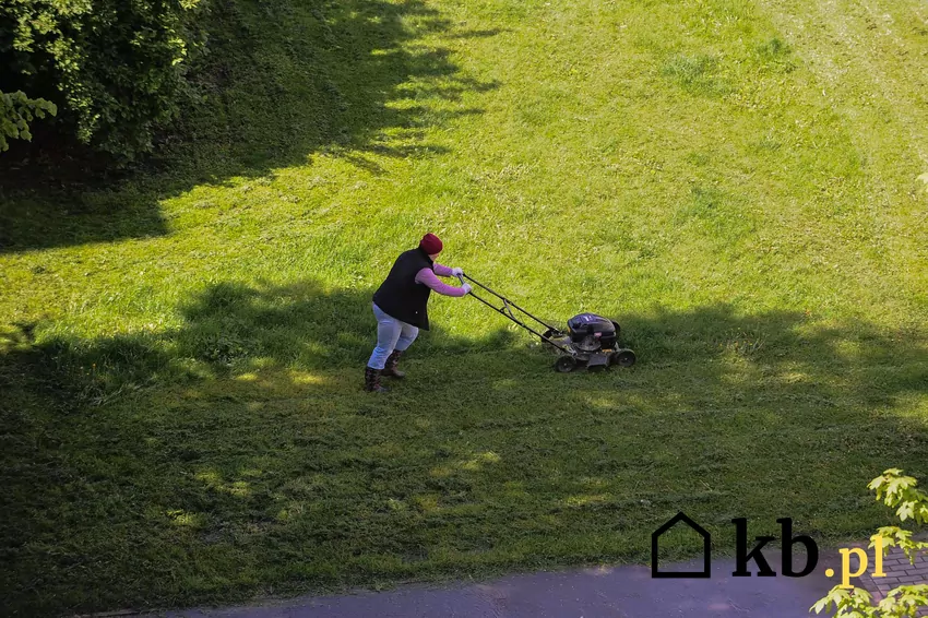 Koszenie trawy w ogrodzie