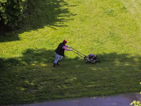 Koszenie trawy przed zimą