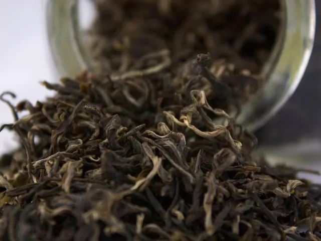 Fusy z herbaty jako nawóz